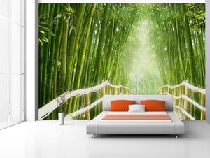 Fototapeta Klid přírody - fantazie čínského mostu mezi zelenými bambusy