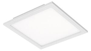 Briloner 7191-016 - LED Stropní svítidlo SIMPLE LED/12W/230V