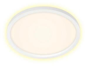 Briloner 7363-016 - LED Stropní svítidlo CADRE LED/22W/230V pr. 42,5 cm bílá