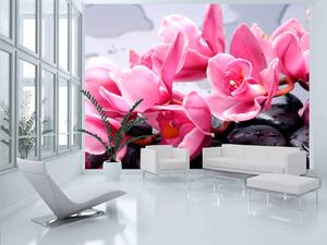 Fototapeta Kompozice - růžové orchidejové květy ležící na vlhkých kamenech zen