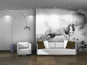 Fototapeta Černobílá fantazie - svět s bílým koněm, měsícem a figurami