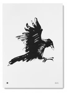 Plakát Raven velký 50x70 cm Teemu Järvi Illustrations