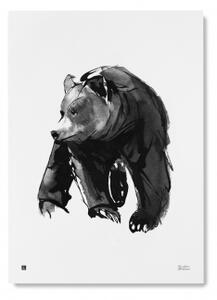 Plakát Gentle Bear velký 50x70 cm Teemu Järvi Illustrations