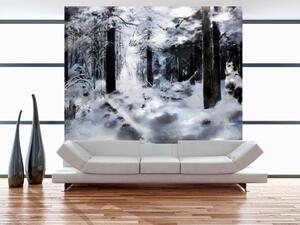 Fototapeta Zimní les - lesní krajina s stromy ve sněhu v stonovaných barvách