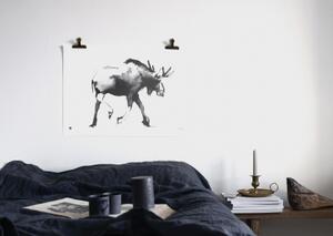 Plakát Elk velký 50x70 cm Teemu Järvi Illustrations