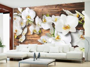 Fototapeta Lesní orchidej - přírodní bílé květiny na pozadí starého tmavého dřeva