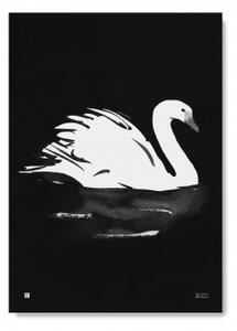 Plakát Swan velký 50x70 cm Teemu Järvi Illustrations