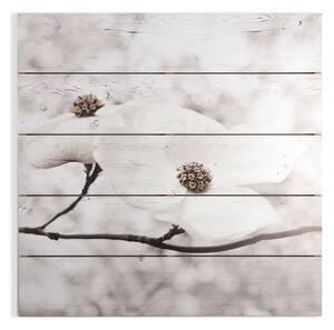 Obraz - tisk na dřevě - Serenity Blossoms 104589, Wall Art, Graham Brown