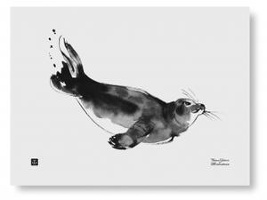 Plakát Seal 30x40 cm Teemu Järvi Illustrations