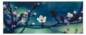 Bezrámový obraz Petite Petals 104571, Wall Art, Graham Brown