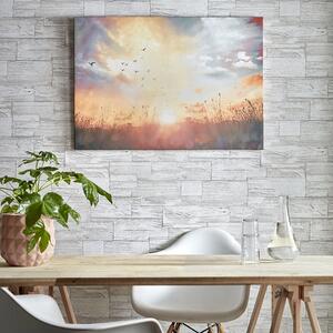 Tištěný obraz Západ slunce 105890, Serene Sunset Meadow, Wall Art, Graham & Brown