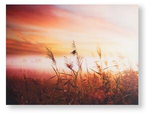 Tištěný obraz Ranní slunce 105888, Morning Sunrise Meadow, Wall Art, Graham & Brown