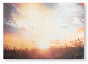 Tištěný obraz Západ slunce 105890, Serene Sunset Meadow, Wall Art, Graham & Brown