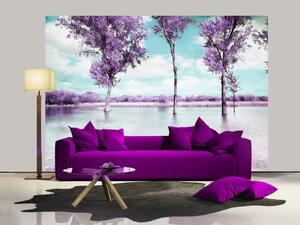 Fototapeta Vřesový kraj - stromy nad vodou v provenčálském stylu v fialové