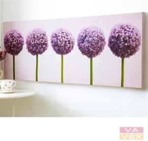 Obraz 40-234, Row of Alliums, Wall Art, Graham Brown