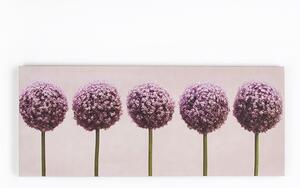 Obraz 40-234, Row of Alliums, Wall Art, Graham Brown