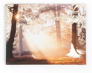 Obraz 40-896, Metallic Forest, Wall Art, Graham Brown