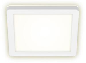 Briloner 3010-016 - LED Stropní svítidlo LED/8W/230V 19x19 cm bílá IP44