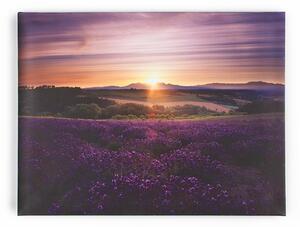 Obraz Levandule 40-886, Lavender Sunset, Wall Art, Graham Brown