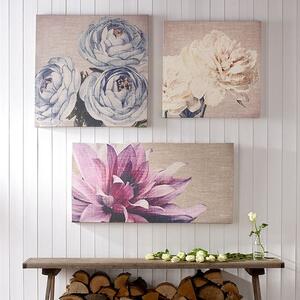 Bezrámový obraz Pivoňky, Teal Floral Trio 41-714, Wall Art, Graham Brown