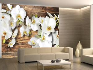 Fototapeta Sněhobílé orchideje - bílý rostlinný motiv na pozadí syrového dřeva