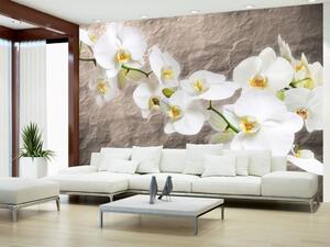 Fototapeta Květy orchidejí - bílé květy na šedém pozadí s nepravidelnou texturou