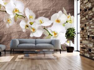 Fototapeta Orchidejové květy - rostlinný motiv na pozadí nepravidelné textury