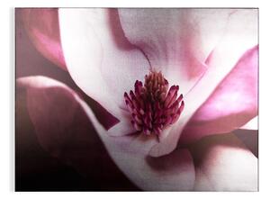 Bezrámový obraz Metallic Plum Petals 104574, Wall Art, Graham Brown