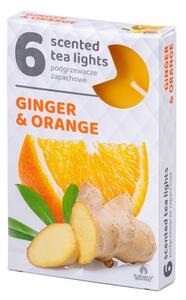 Vonné čajové svíčky 6ks, Ginger Orange