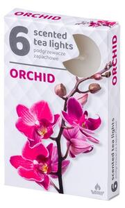 Vonné čajové svíčky 6ks, Orchid