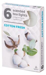 Vonné čajové svíčky 6ks, Cotton fresh
