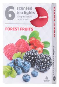 Vonné čajové svíčky 6ks, Forest fruits
