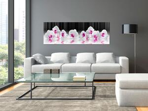 Obraz Odraz ve skle (1-dílný) - růžová kompozice s vodou a orchidejemi