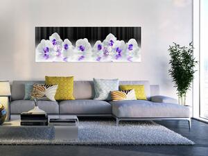 Obraz Indigový odlesk (1-dílný) - fialová kompozice s květinami orchidejí