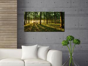 Obraz Armáda stromů (1-dílný) - zelený lesní kraj s paprsky slunce