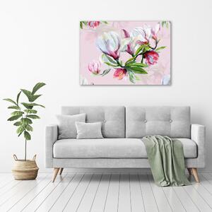 Foto obraz tištěný na plátně Květiny magnolie pl-oc-100x70-f-104301807