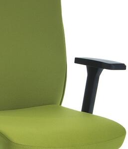 Rauman kancelářská židle Pierre zelená
