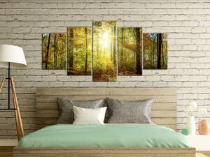 Obraz Mystický les (5-dílný) - krajina s stromy ve slunečních paprscích