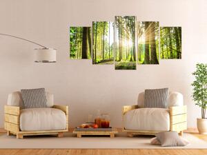 Obraz Sluneční paprsky (5-dílný) - lesní krajina s stromy a listy
