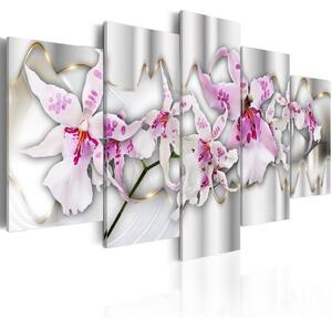 Obraz Ohromující orchidej (5-dílný) - rostlinný motiv se storčím