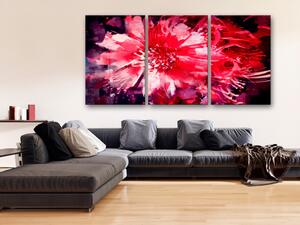 Obraz Rozkvétající chryzantémy (3-dílný) - červená kompozice s květinami