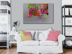 Obraz Pruhovaná zebra (1-dílný) - barevná abstrakce se zvířaty