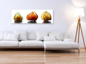 Obraz Exotické ovoce (1-dílný) - světlá kompozice s květy různých ovoce