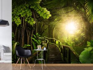 Fototapeta Džungle - zelený motiv s tropickým lesem a mostem