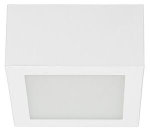 Stropní LED světlo Box_SQ 8227 LineaLight 11x11cm