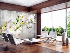 Fototapeta Bílé orchideje s oranžovým akcentem - motiv květin na šedém pozadí