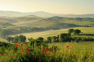Fototapeta Makky v Toskánsku - krajina italských polí v létě s horami