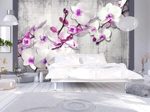 Fototapeta Bílé orchideje s fialovým akcentem - motiv květin na betonovém pozadí