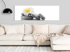 Obraz Bílý lotos - relaxační kameny v zenovém stylu s orientálním květem
