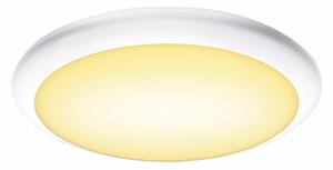 BIG WHITE RUBA 27 CW venkovní LED nástěnné a stropní přisazené svítidlo bílé CCT switch 3000/4000 K 1005089